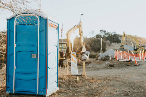 Portable Toilet Options We Offer in Woodhaven, MI